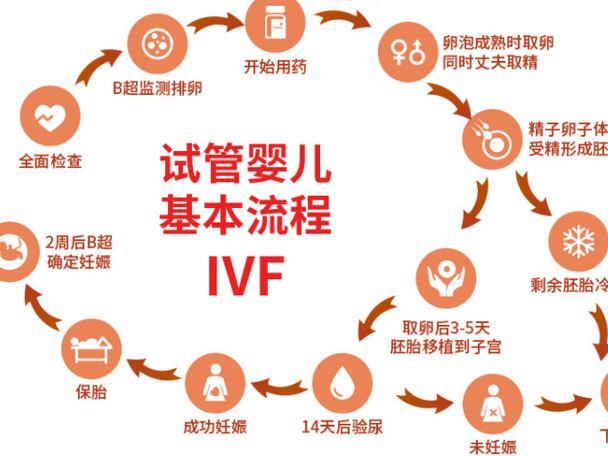 三代供卵试管婴儿宝宝什么时候加蛋黄
